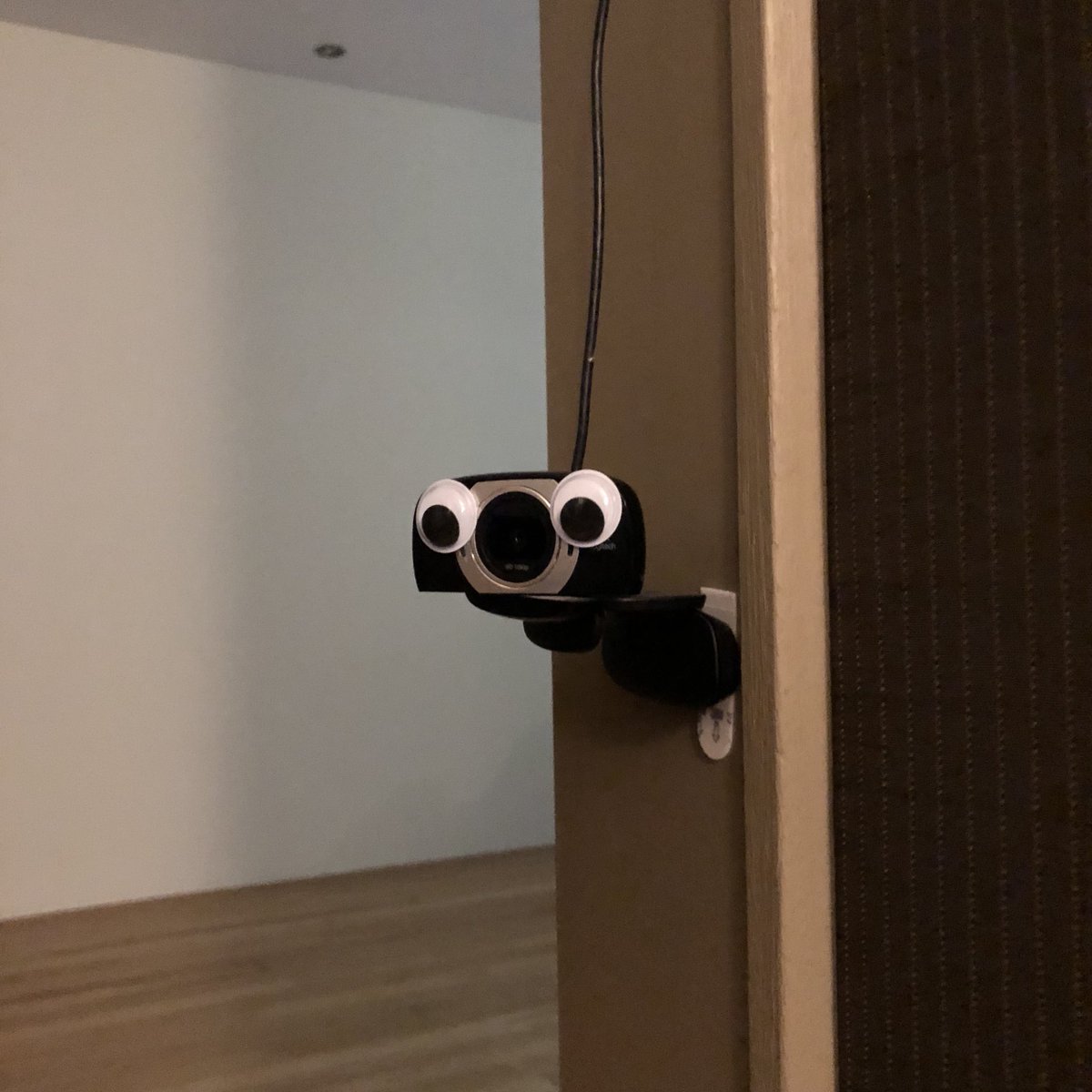 A tip for new streamers...
Put googly eyes on your webcam so that you can practice eye contact and pretend everyone watching you is amazed.