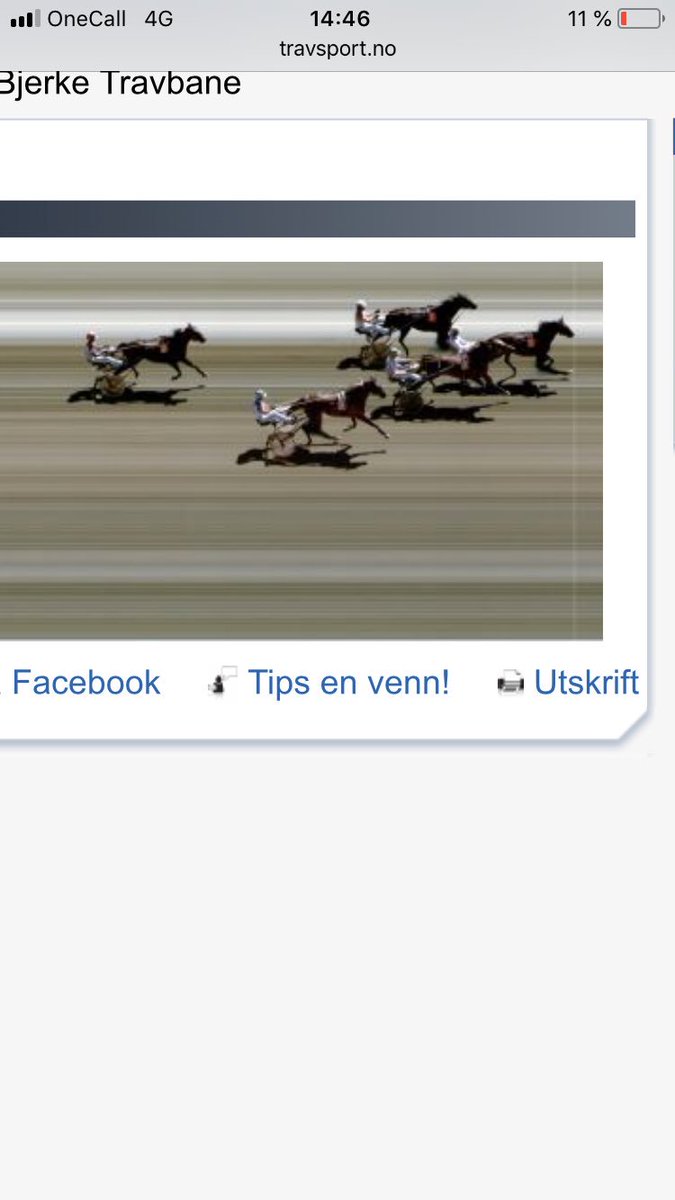 Trippel Nannestad i omløpet 👌