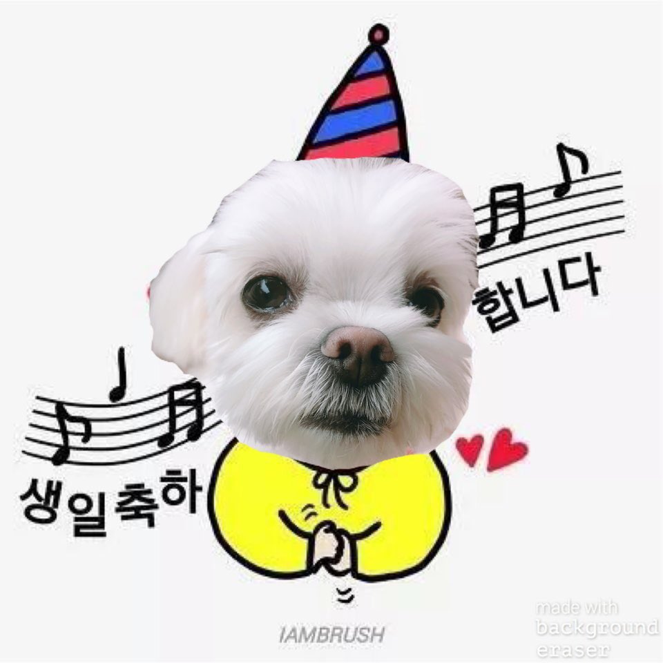 hellokimsohyun's tweet image. 정말 20살이 됐네요:) 20살도 여러분과 함께 할 수 있어서.. 정말 행복한 하루였어요! 소중한 사람들과 함께 즐거운 시간 보냈습니다ㅎㅎㅎㅎ 축하해주신 자랑스러운 우리 팬들, 그리고  모든분들께 감사드려요! 부끄럽지 않은 배우이자 김소현 되겠습니다! 사랑합니다♥️