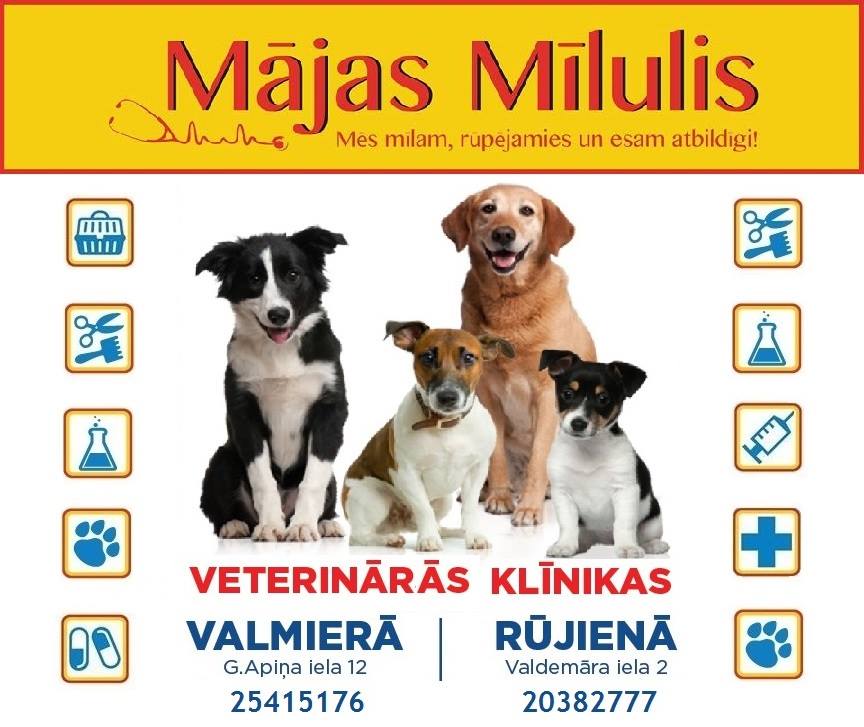 Mājas Mīlulis SOS (@majasmilulissos) on Twitter photo 