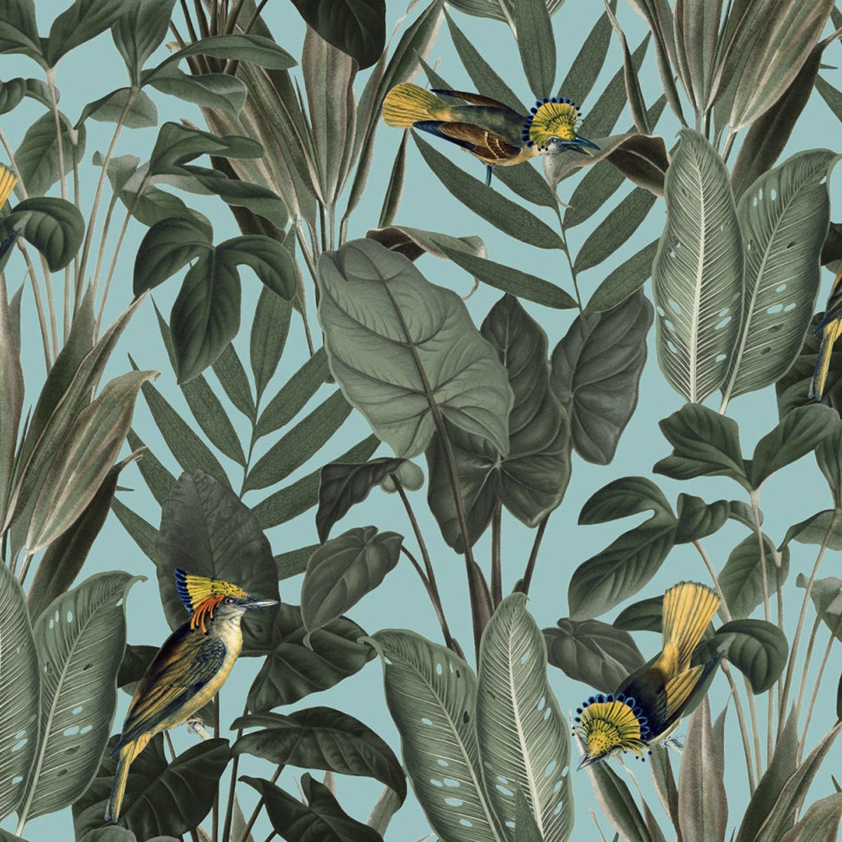 FLDstudio's tweet photo. How gorgeous is this brand new wallpaper mural - Yellow Bird, available from today on our MURALS section. It feeds into the trend for sumptuous jungle palms and exotic birds with jewel like colour. We love it! Shop here: https://t.co/AbqD6HiKbI https://t.co/jMuKzHbam3