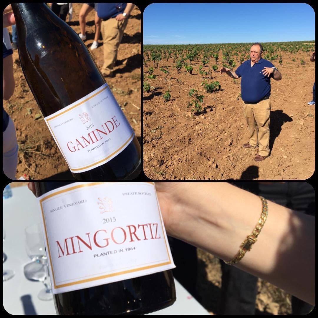 fincaallende's tweet photo. Bodegas #FincaAllende presenta novedades: '#Gaminde 2015' y '#Mingortiz 2015', una nueva expresión del terroir. https://t.co/62j6omLldj https://t.co/9ctWMwlTDO
