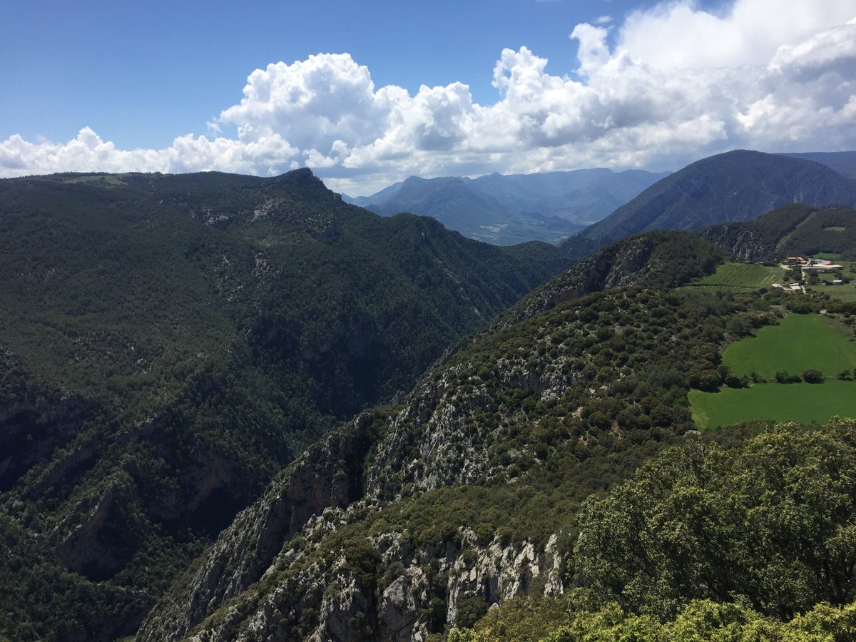 aleixmillet's tweet photo. La Vansa un dels paradisos per observar voltors, sense cap mena de dubte!#Prepirineu #Necròfags https://t.co/08rhXVpRIe