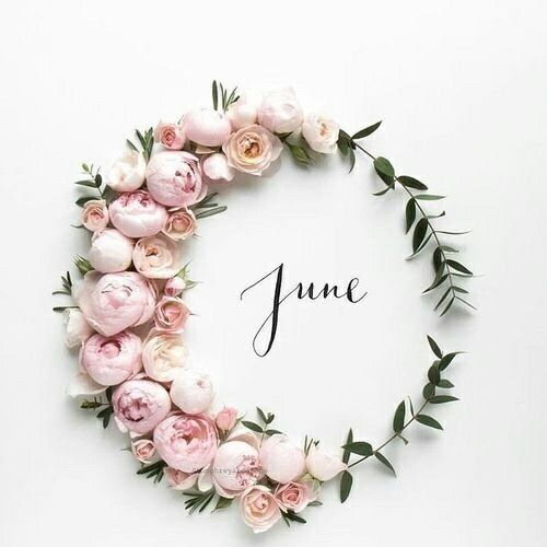 lovelacedwed's tweet photo. Hello #June! Let the summer wedding season begin 🌸🌻🌺
#weddingseason #summerweddings #tentweddings #outdoorweddings #love #weddingplanner #toronto #mississauga #torontoweddings https://t.co/ddhlH8iL5a