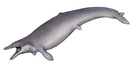 創作に引用したくなるくらいカッコいい名前の生き物紹介する