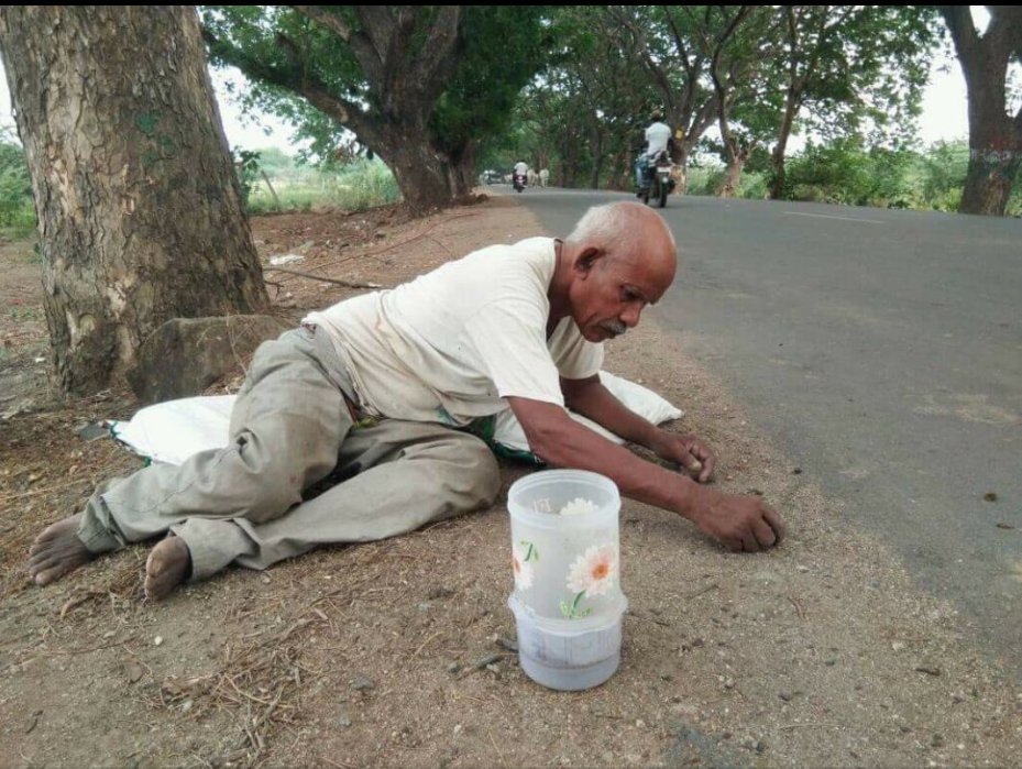 oldhandhyd's tweet photo. Padmasri awardee Daripally Ramiah collecting seeds for planting in forests, before monsoon arrives ! 🙏🙏 https://t.co/RkxMTfbSc0