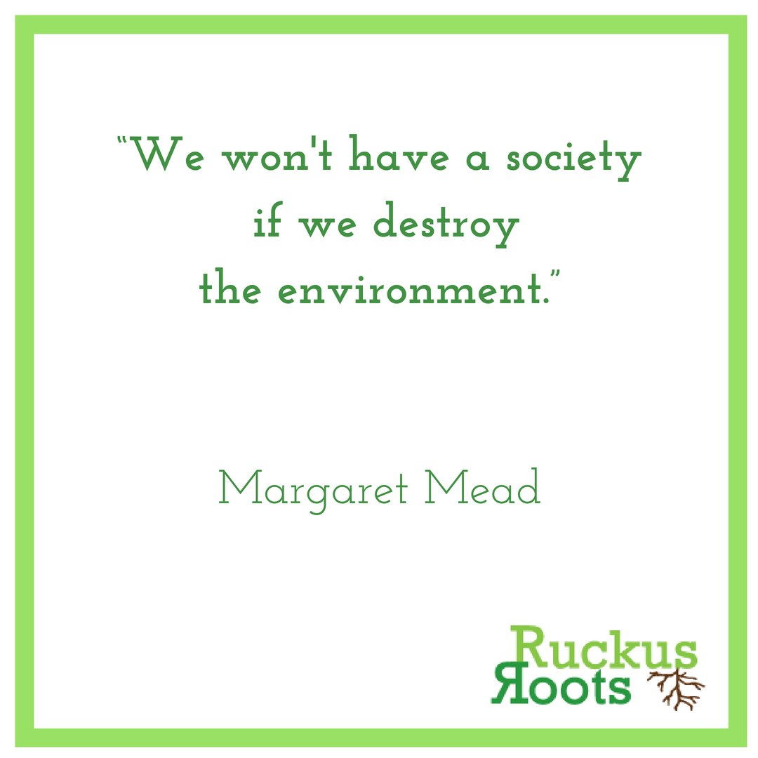 RuckusRoots tweet media