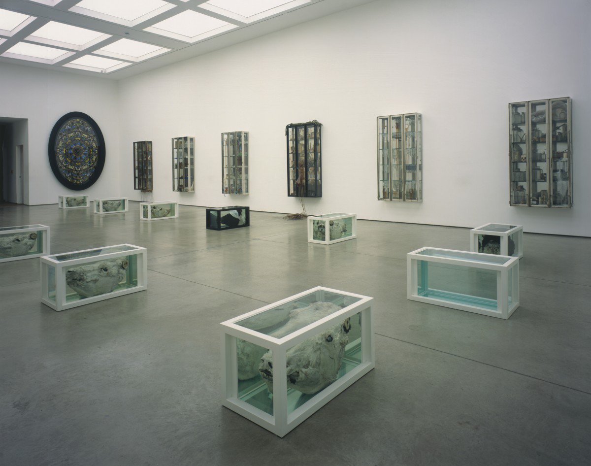 _WhiteCube's tweet photo. Happy birthday to #WhiteCube artist #DamienHirst! https://t.co/Z1fZE96M5m