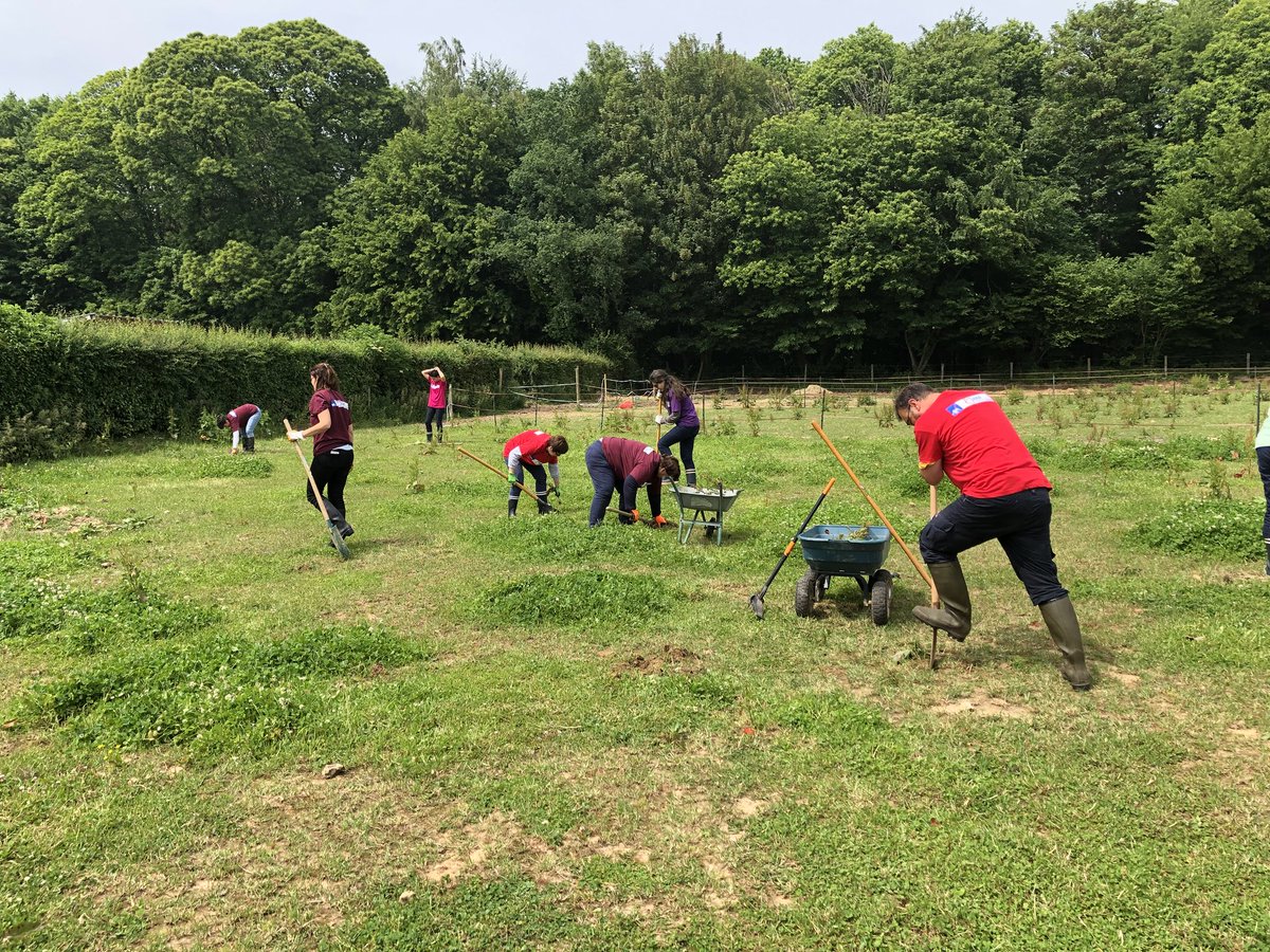 L’équipe de <a href="/beraudiere/">Sophie Masset</a> en séminaire aux services de l’association Cheval Espérance à #isneauville pour nettoyer les pâtures des mauvaises herbes, solidarité, bénévolat pour le bien être des handicapés et leurs montures #axaatoutcoeur <a href="/axafrance/">AXA France</a>, bravo et merci pour eux !