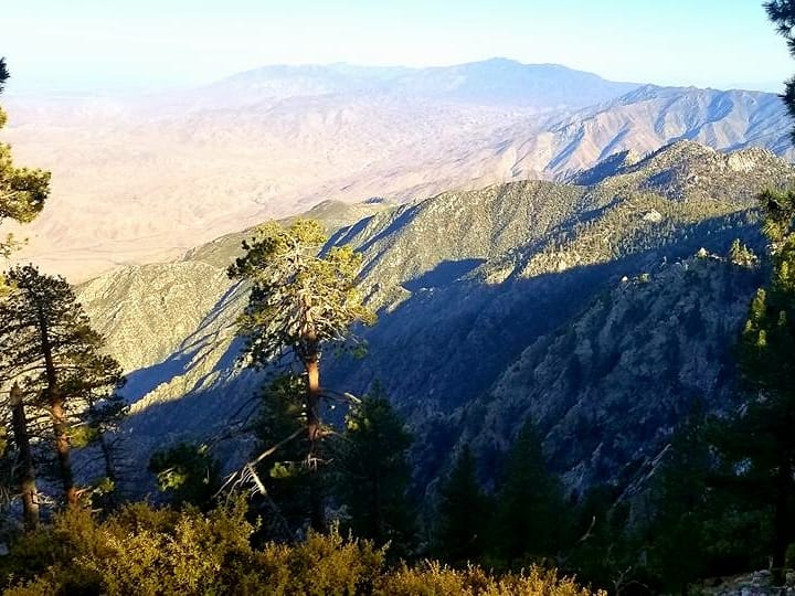 adrenalistorg's tweet photo. Mount San Jacinto State Park, California.
#mountains #nature #outdoors #landscape #camping #hiking #adventure https://t.co/4tzdmbzOOt
