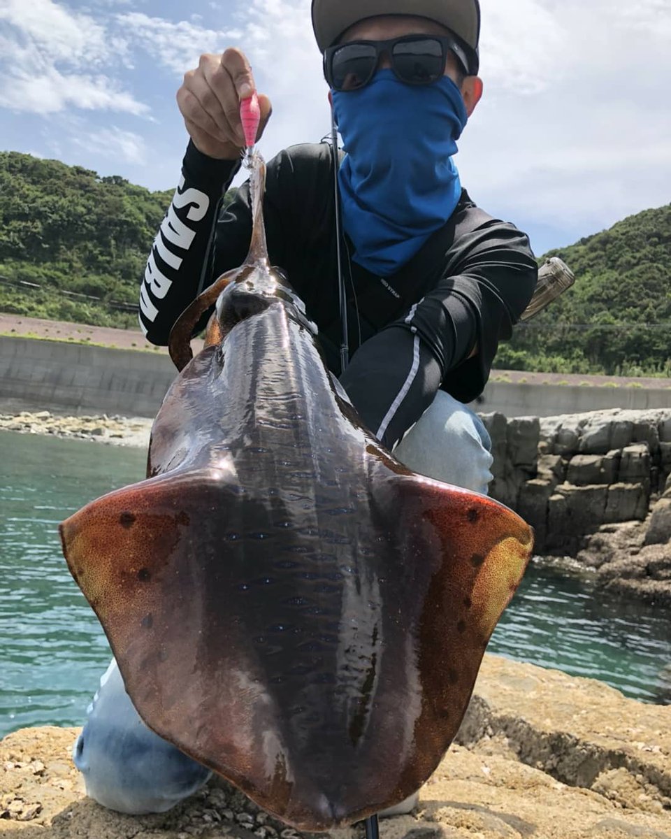 Salbait 甑島へ行って参りました 釣り大会で5位でしたが 良い経験させて頂きました Salbait 釣り ハンドメイド エギング ライトゲーム 甑島 イカ釣り大会 5位でした T Co Sgmm7tdzrx Twitter