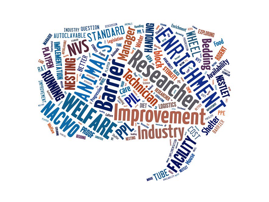 PreclinStroke's tweet photo. Work with laboratory rodents? Our workshop aims to increase awareness and uptake of environmental enrichment whilst discussing barriers and solutions. Find out more and register your free place: https://t.co/NwiCNe7R16 #welfare #enrichment #science #research https://t.co/JT9V8Vqq5c