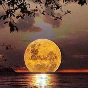 LisaDrawtag's tweet image. #NewProfilePic