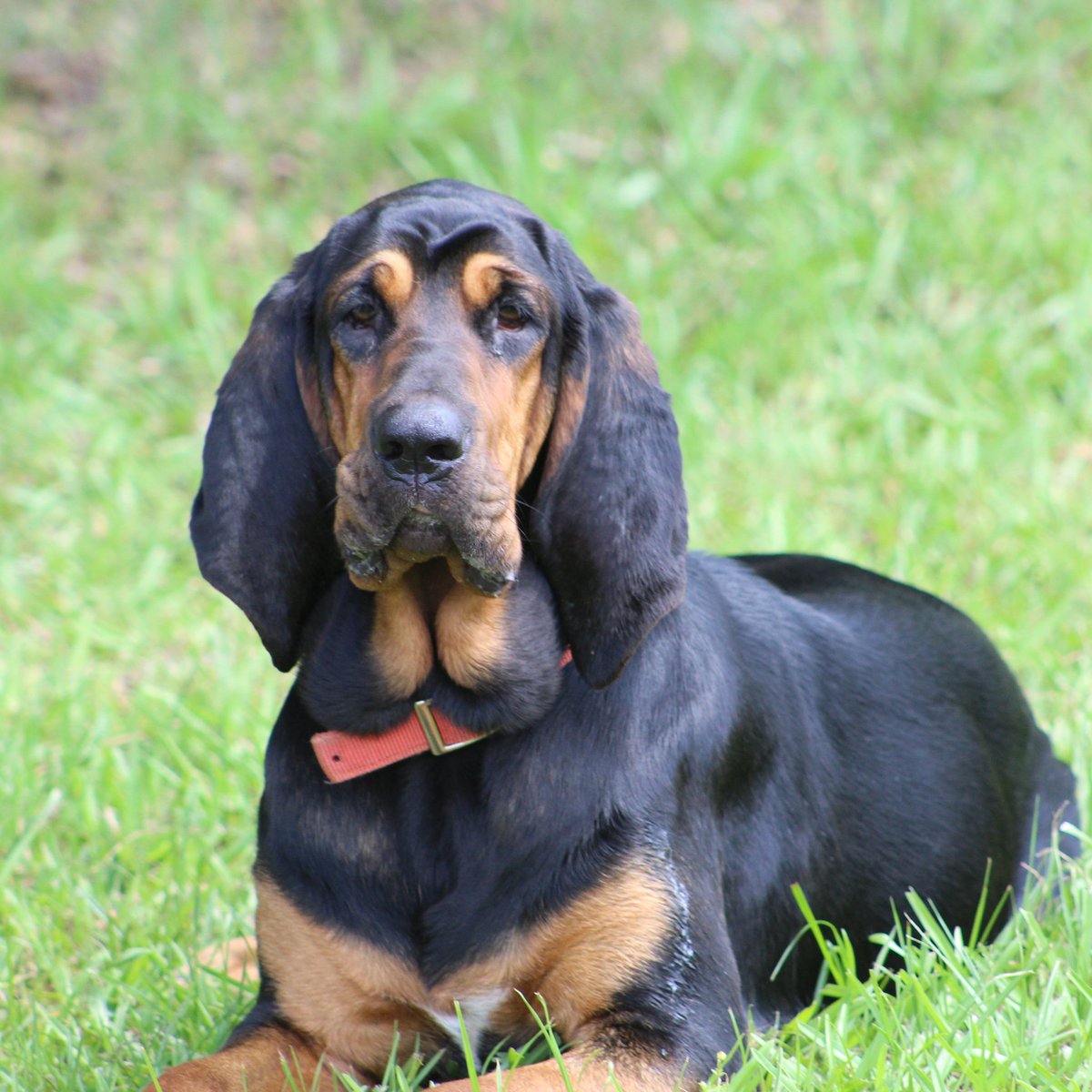 David Hackler (davidhackleremt) Twitter