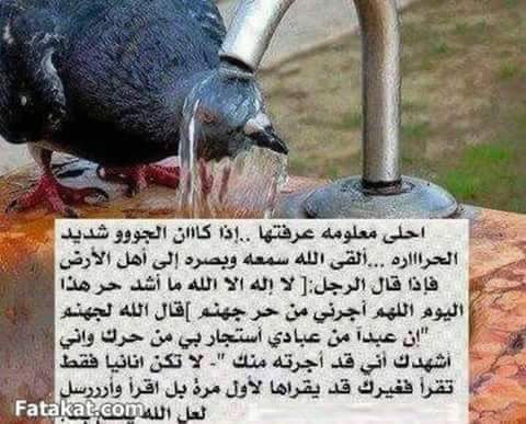 يارب (@hommkj) on Twitter photo 