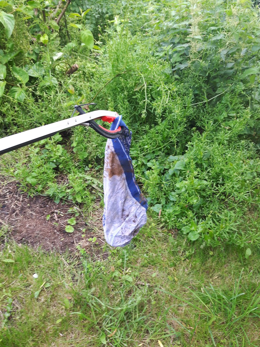 WiltsWildlife's tweet image. We've just been out for a litter pick around Calne for day 4 of #30DaysWild! ♻ Some very interesting finds, including a pair of underpants 👖