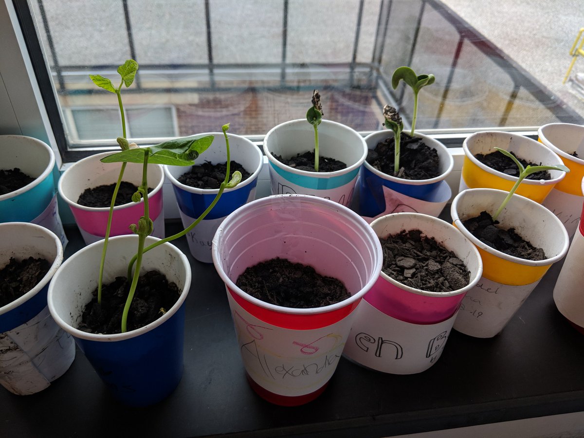 Katie Kaminsky tweet media