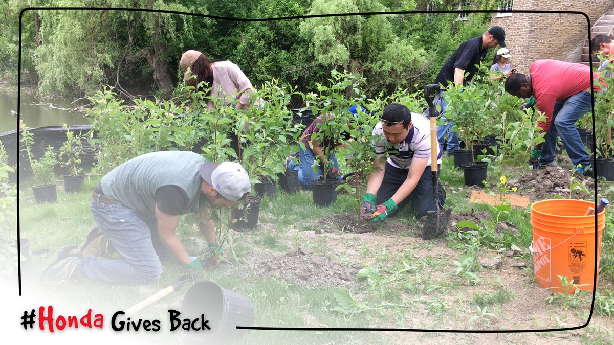 HondaCanada's tweet photo. As part of our ongoing #OneHondaOneTree initiative weโre committed to making the world greener and ensuring the healthy preservation of our #environment. Our associates recently planted trees in #Alberta, #Ontario and #NovaScotia with @Forests_Ontario ๐ฑ๐ #HondaGivesBack https://t.co/eTSC8SzGbt