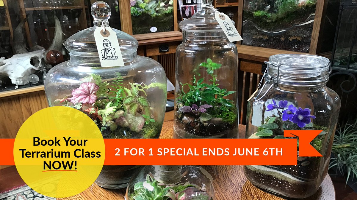 RooseveltsPDX's tweet photo. Our spring 2-for-1 special ends on June 6th! Book your terrarium class within the next 48 hours to take advantage of our special rate before prices go back up. If you've been meaning to book a class, but haven't gotten around to it yet, NOW'S THE TIME! #rooseveltspdx #terrariums https://t.co/2drJRXZnYI