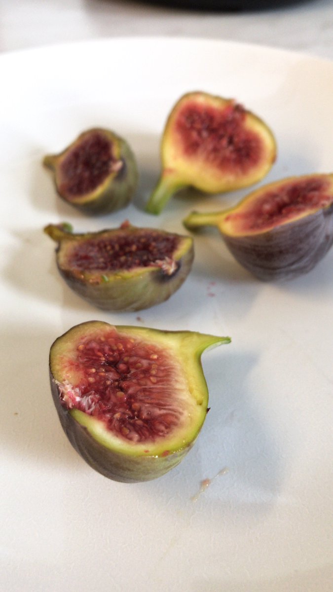 BessemerPGH's tweet photo. Studio grown figs! #yum #fresh https://t.co/R5XI4DrS4c