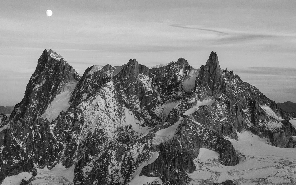 Blue Ice tweet media