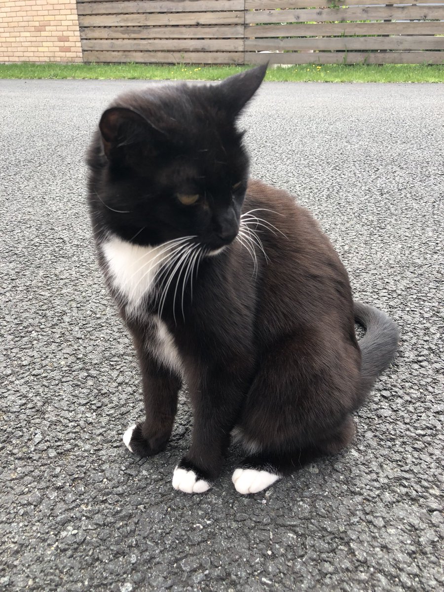 Hoole & Newton tweet media