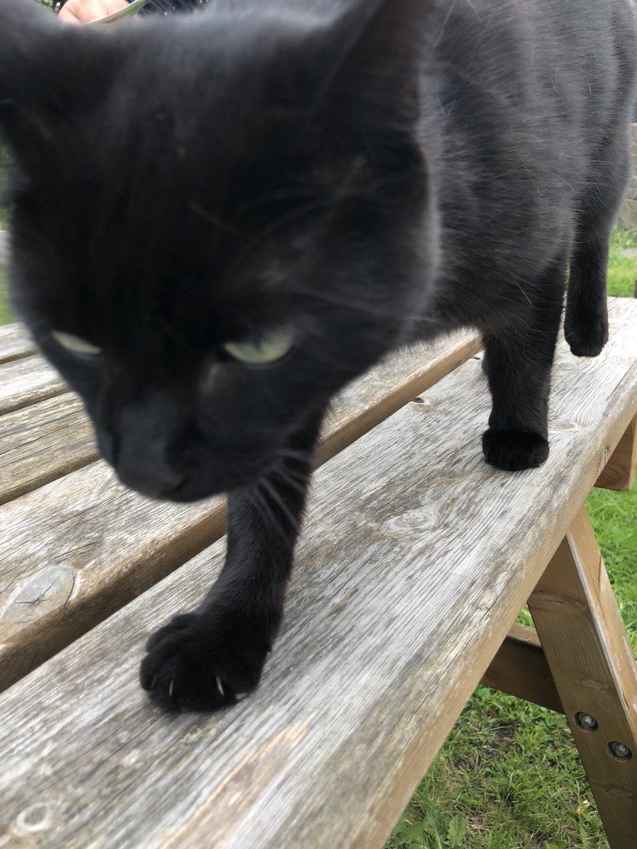 Hoole & Newton tweet media