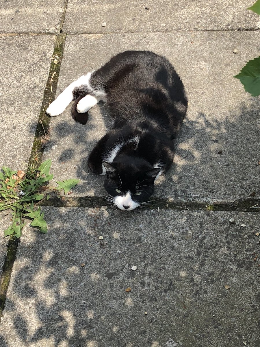 Hoole & Newton tweet media