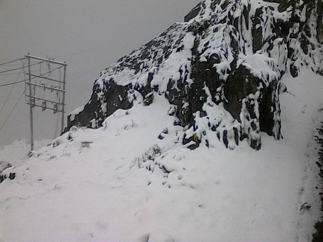 Marlenycdc_'s tweet photo. ¡Nieve de Bendiciones! | A -2. °C llegó la temperatura en la estación #PicoEspejo de Nuestro Sistema Teleférico @Mukumbari. Bendición de la naturaleza, que puedes disfrutar en este grandioso atractivo turístico. #VenezuelaEsParaQuererla #Merida #Turismo https://t.co/bNaKl5z19F