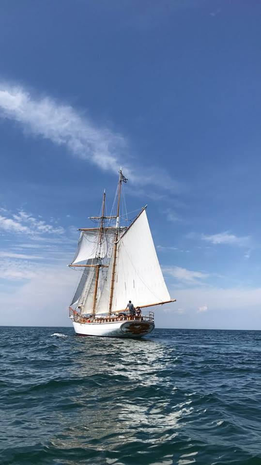 NE_Maritime's tweet photo. You know when the warm weather is here... when America’s finest Brigantine, the Sailing Vessel S/V FRITHA is heading back to Fairhaven, Massachusetts from Beaufort, North Carolina!
See you soon! #fritha #honorthemariner https://t.co/zGKKofD8jb
