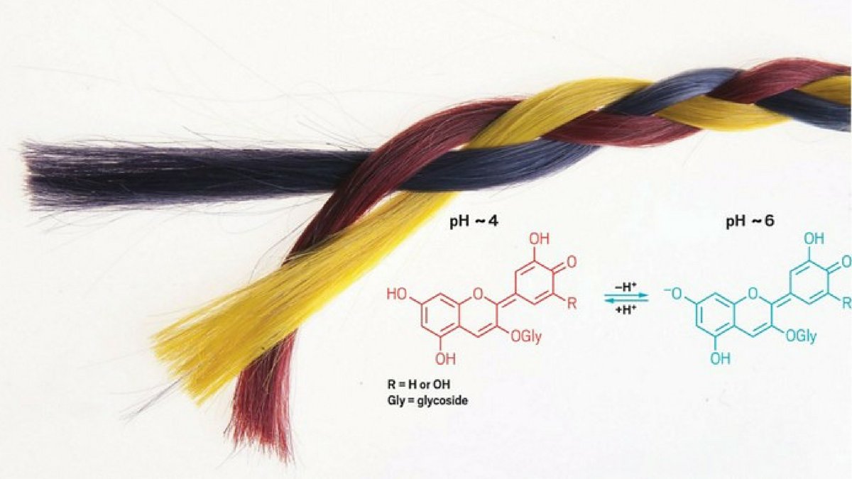 C&EN (Chemical & Engineering News) on Twitter: C&EN (Chemical & Engineering News) on Twitter: