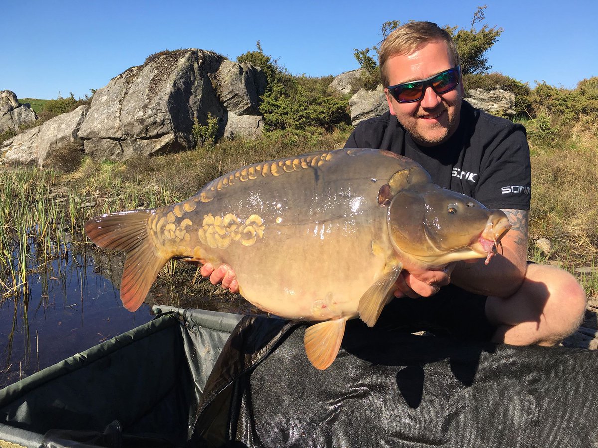 soniksports's tweet photo. #TeamSonik Henrik Hansen smashes his Norwegian PB by over 3kg - 15.7kgs of stunning carp right there. Well done Henrik! #Sonik #WhatsyourPB #Postbelow https://t.co/w99ep10tvL