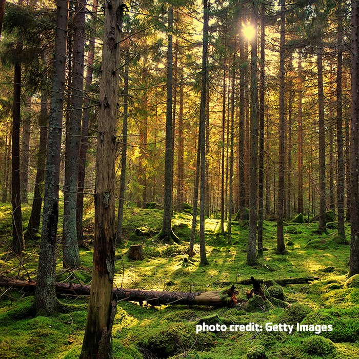 News from #ymca: Keep  close to Nature's heart... and break clear away, once in awhile, and climb a mountain or spend a week in the woods. Wash your spirit clean.      --John Muir  
#HealthyLiving #nature