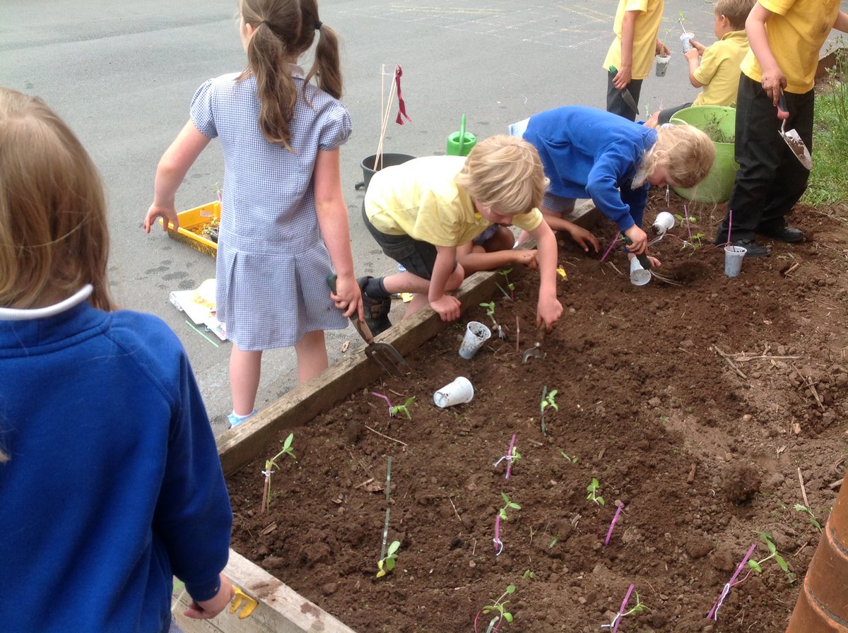 It's all about science this week. We've created our own insects, designed some habitats and are now starting to build them. We can't wait to show our grown ups on Friday.