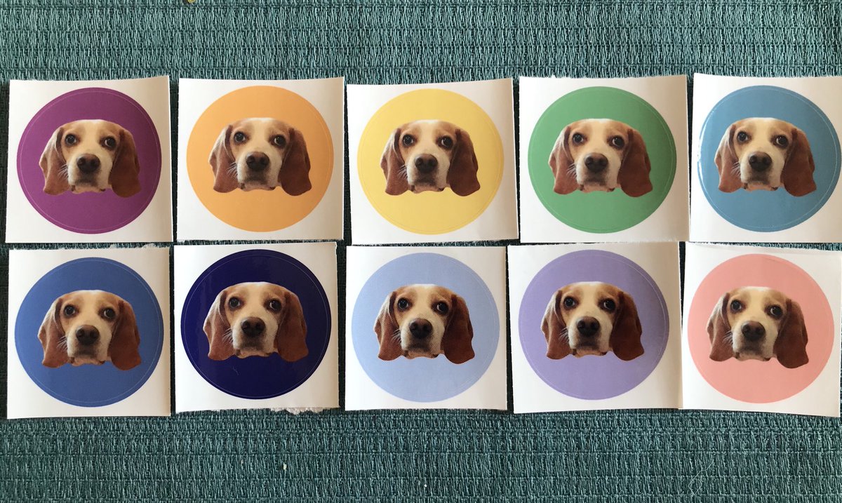 TheBeagleToby's tweet photo. Happy #PrideMonth friends! It’s a rainbow of stickers! Of me! #PrideMonthPuppo 🌈🐶 https://t.co/nfxBRh5j8q
