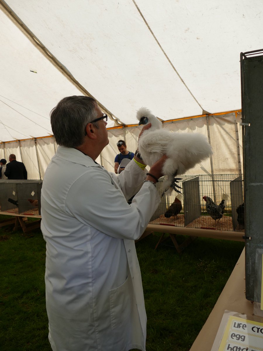 Here are some images from our Small livestock Section. For more information about Small Livestock at Poynton Show visit our website; 
poyntonshow.co.uk/small-livestoc…
Photos kindly provided by North Cheshire Photographic Society
