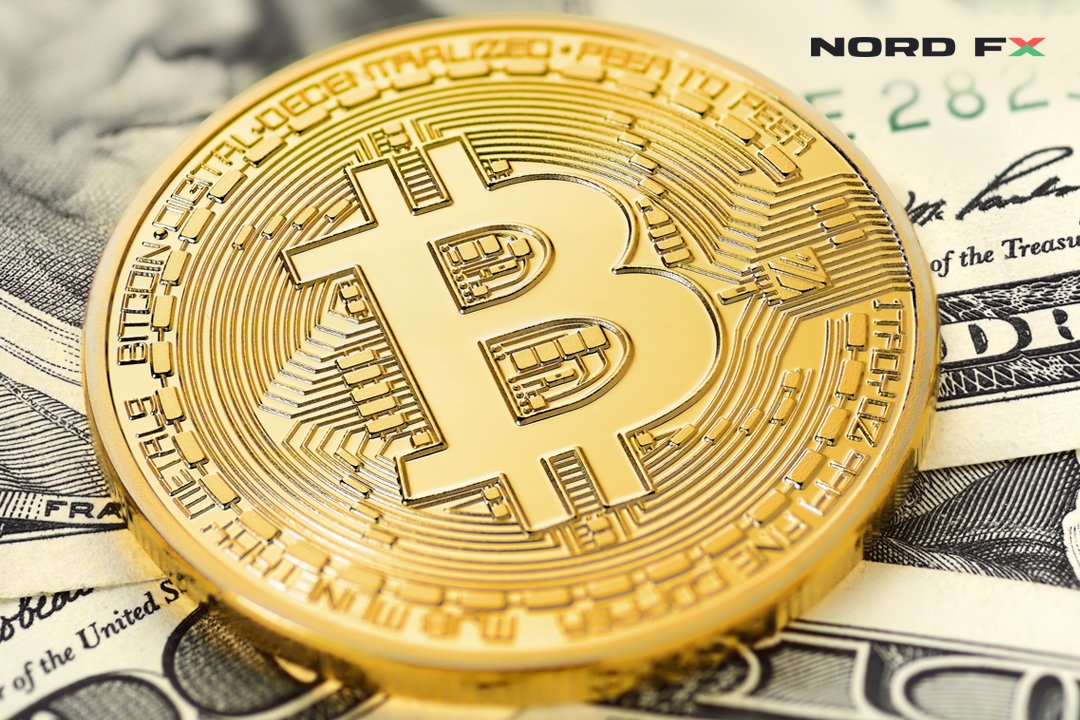 Forex broker bitcoin Forex broker bitcoin forex crunch in ethiopia hammer