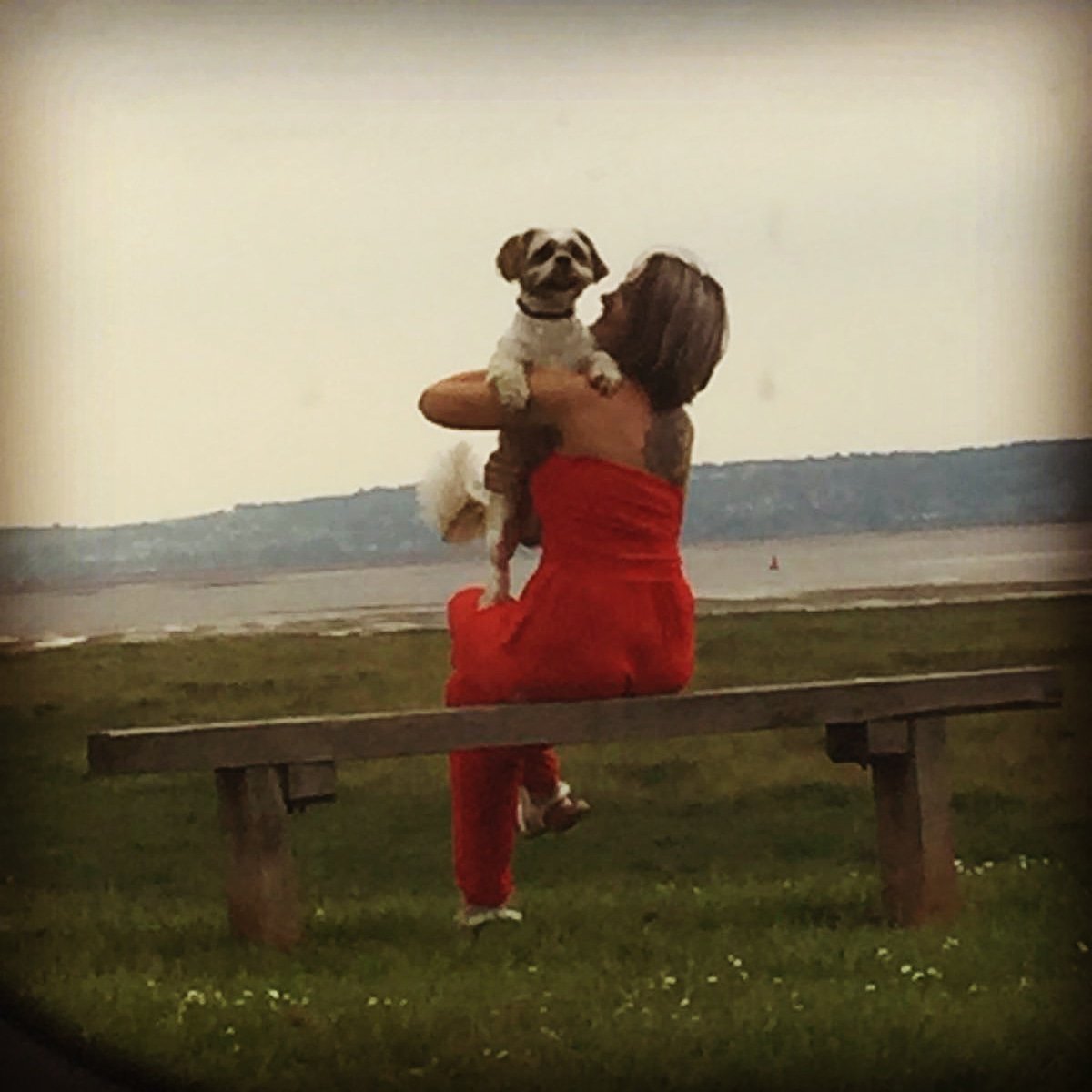 jenthomo78's tweet photo. My main man #mansbestfriend #dogsoftwitter #dogslife #ShihTzu #sweartogodheshalfhuman 
#castlewalks https://t.co/qjD0BpNpsp