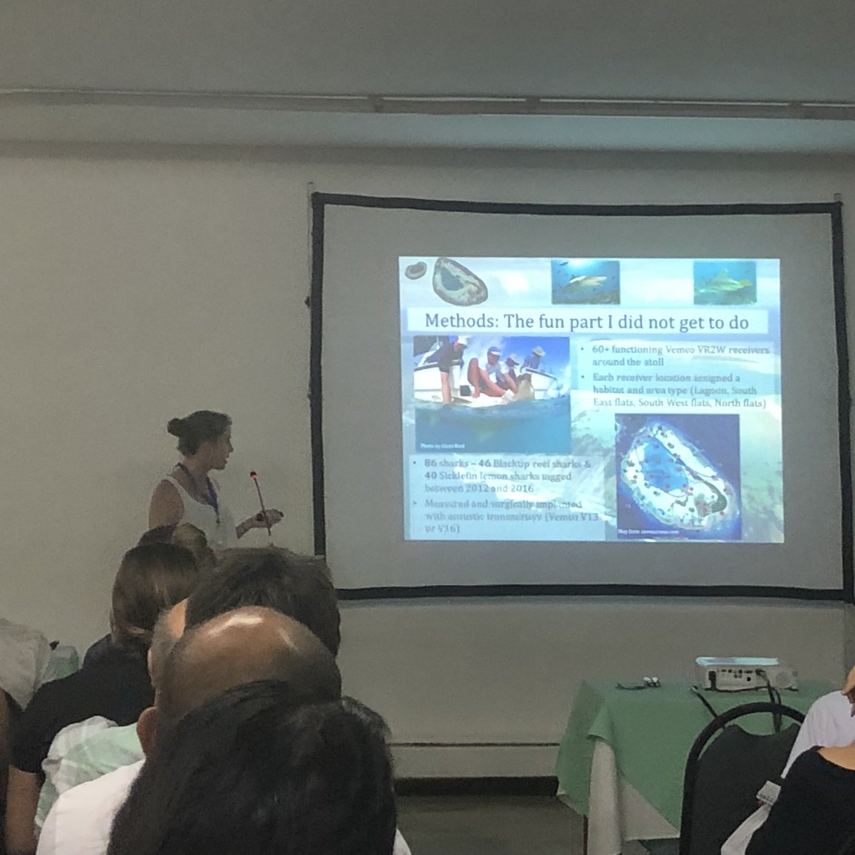 SharkDevocean's tweet photo. Changing tides: contrasting spatial dynamics of blacktip reef and lemon #sharks at a remote coral reef by @SharkyJenny 

Little evidence of sexual segregations in blacktips between tides. Lemons have different activity over tidal cycle between sexes. #Sharks2018 @TheSimsLab https://t.co/6X1OPTv6FA