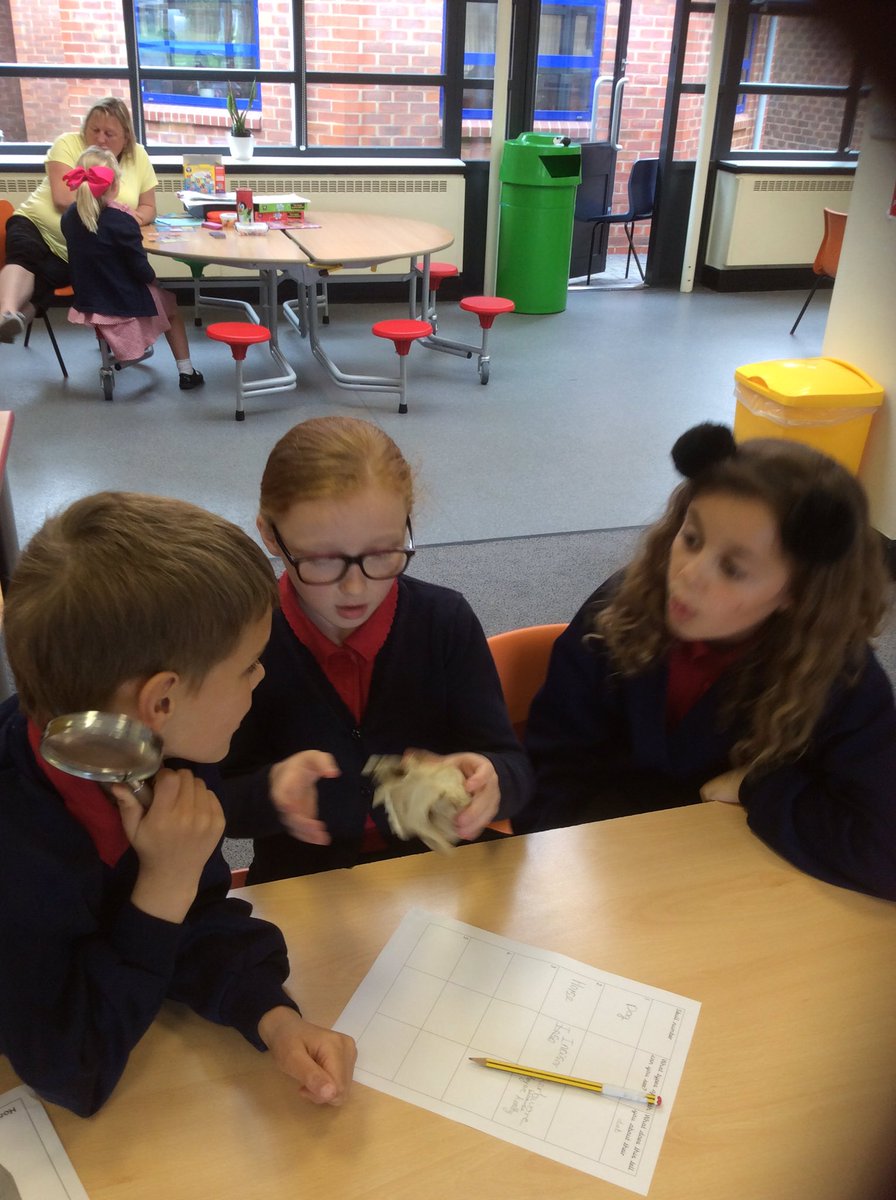 WBJYear4's tweet photo. Would these animals have been carnivores, herbivores or omnivores? @WBJJuniorSchool  #wbjscience https://t.co/CTazaqGx7F