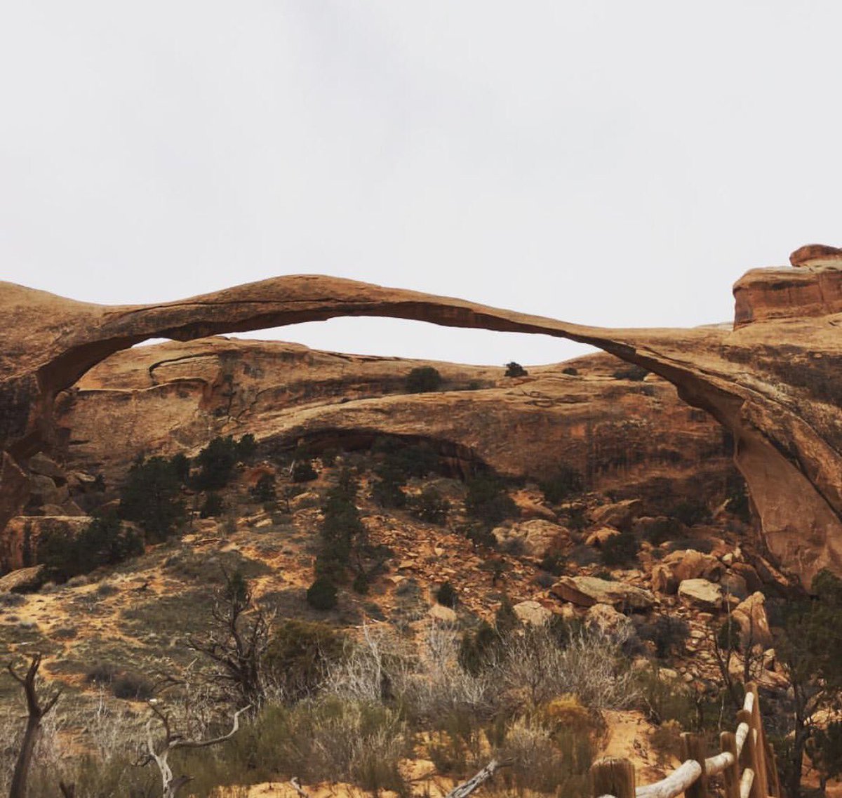 Traveling_Toes's tweet photo. Landscape Arch at Arches National Park🏜 .
.
.
#landscapearch #archesnationalpark
#travel #nature #outdoors #nationalparks #moab #utah
#travellers #traveling 
#travelgram #worldtravel #adventure
##wanderlust #explore #travels #arches
 #fun #travelingtoes 
#travelingtoesinsta https://t.co/KshtA7rIRz