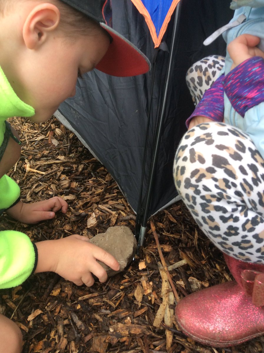 LisaDurepos's tweet photo. Learning how to put up a tent outside today to help us decide on a design for the inside tent. @alcdsb_stms #campingfever #teamwork https://t.co/xWhBGKxEK2