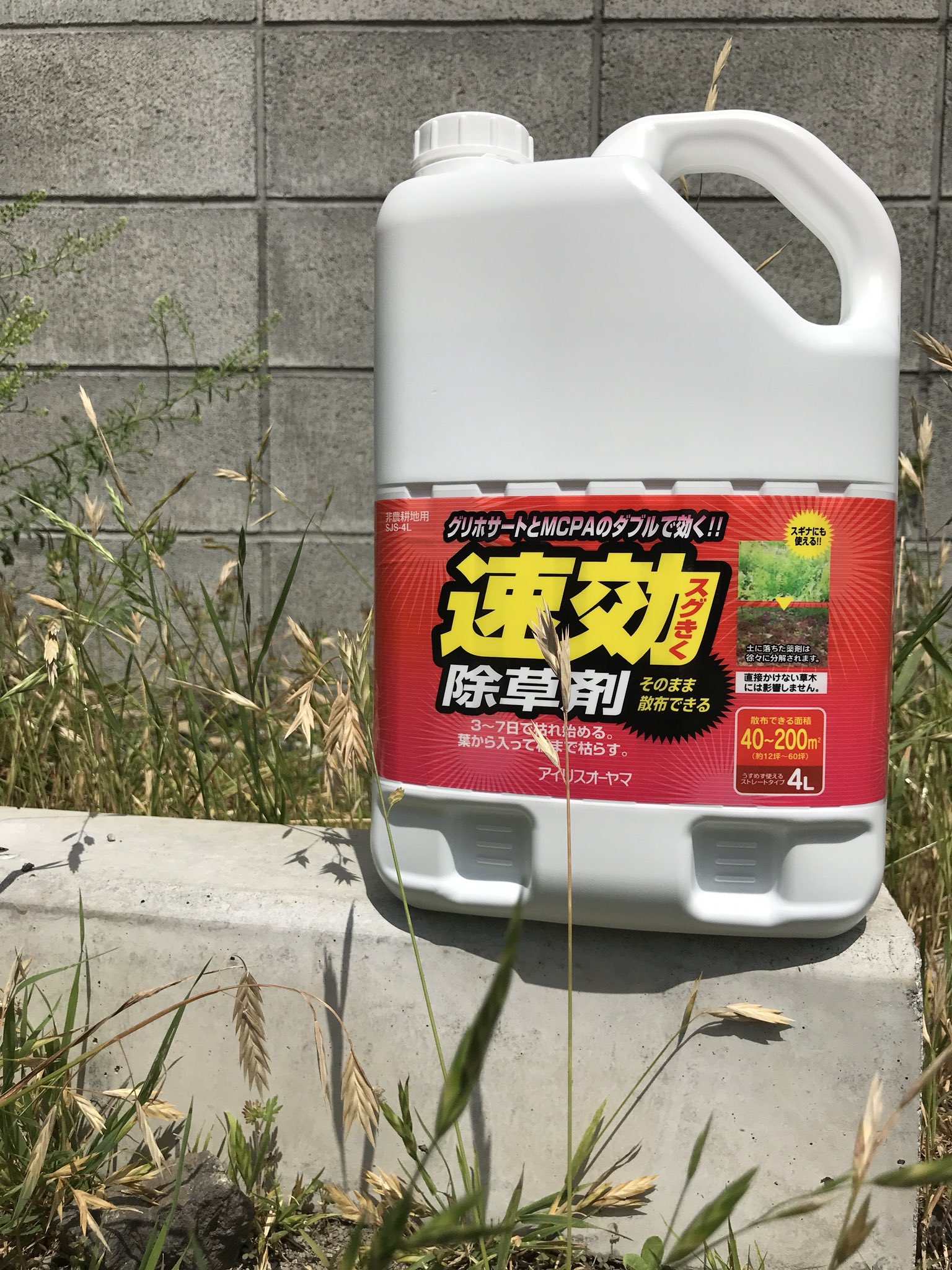 格安人気 アイリスオーヤマ 除草剤 速効除草剤 4L SJS-4L 4個セット discoversvg.com 格安人気 アイリスオーヤマ 除草剤 速効除草剤 4L SJS-4L 4個セット discoversvg.com