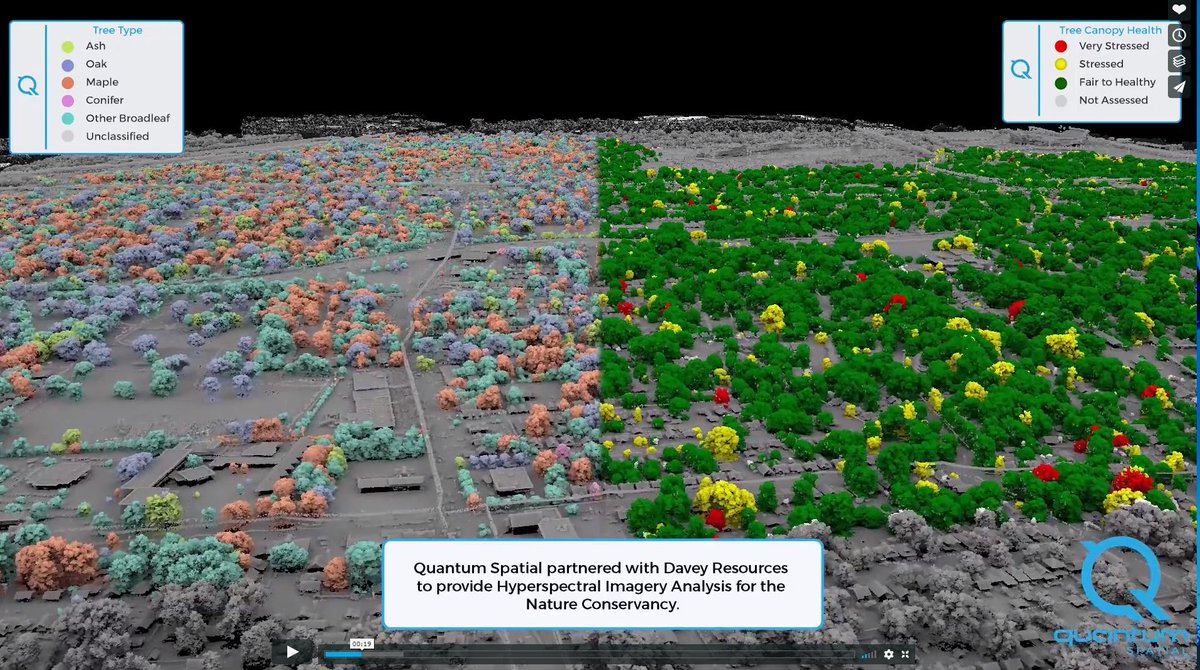 So much eye-candy and a brilliant way to showcase multi-sensor outputs to describe a diverse urban forest.  Well done, <a href="/QuantumSpatial/">Quantum Spatial is now NV5 Geospatial</a> Watch the video here ow.ly/rywK30kkxQz