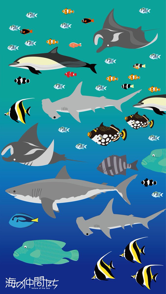 ট ইট র 海の仲間たち 公式 壁紙にどうぞ パート３ T Co Rh6agqmwa5 壁紙にどうぞ 海の生き物 サメ ハンマーヘッド マンタ ツノダシ