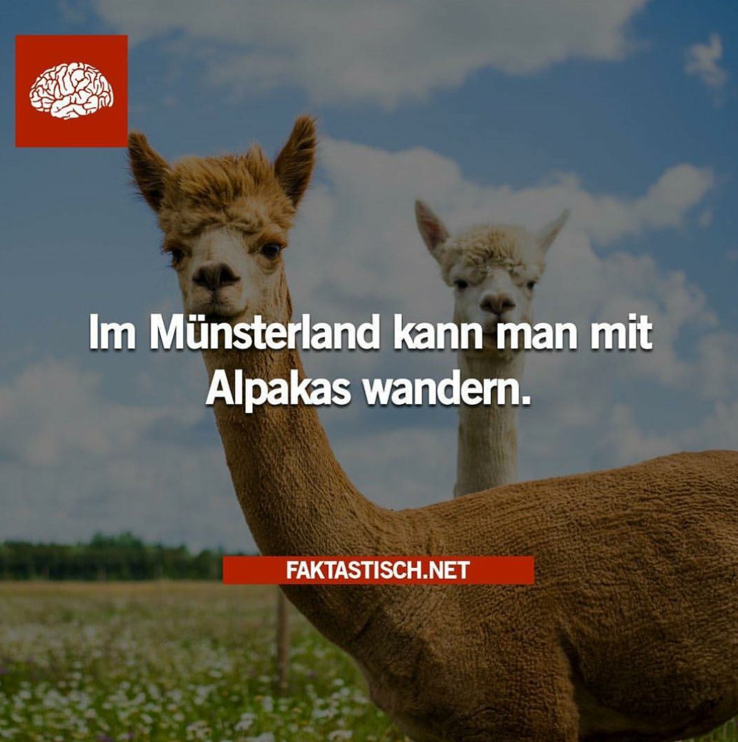 PingiiLogie's tweet photo. @ConCrafter let's go! https://t.co/9dnQ8sqGSU