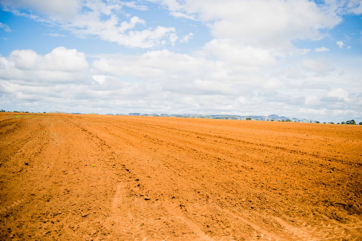Em Angola, temos diferentes micro-climas adequados para a agricultura, com muitas terras aráveis e água. Não existe uma única indústria que seja capaz de apoiar a economia angolana do que #agricultura e #sectores alimentares. #Fazangola