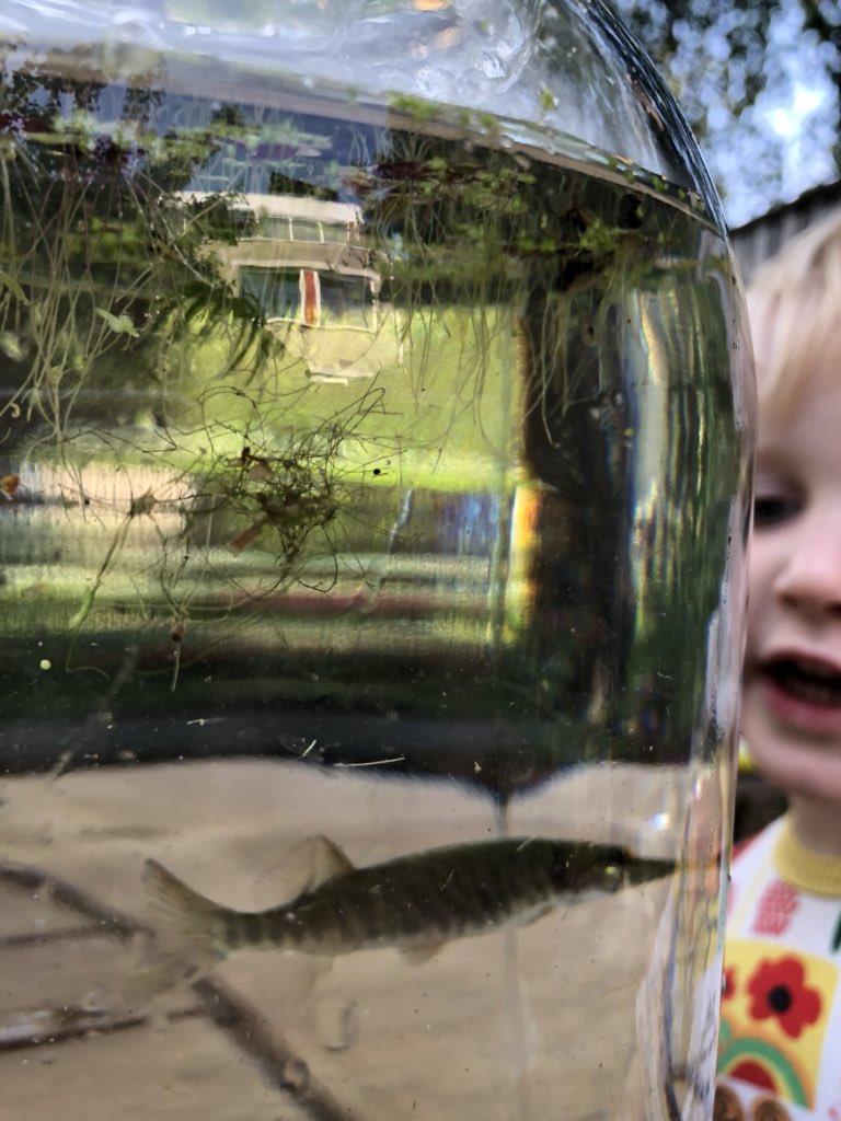 elmarveerman's tweet photo. Zou het dezelfde zijn als vorig jaar? Qua formaat klopt het wel ongeveer, denk ik. #snoek #schepnetje https://t.co/uIrdjh8ERu