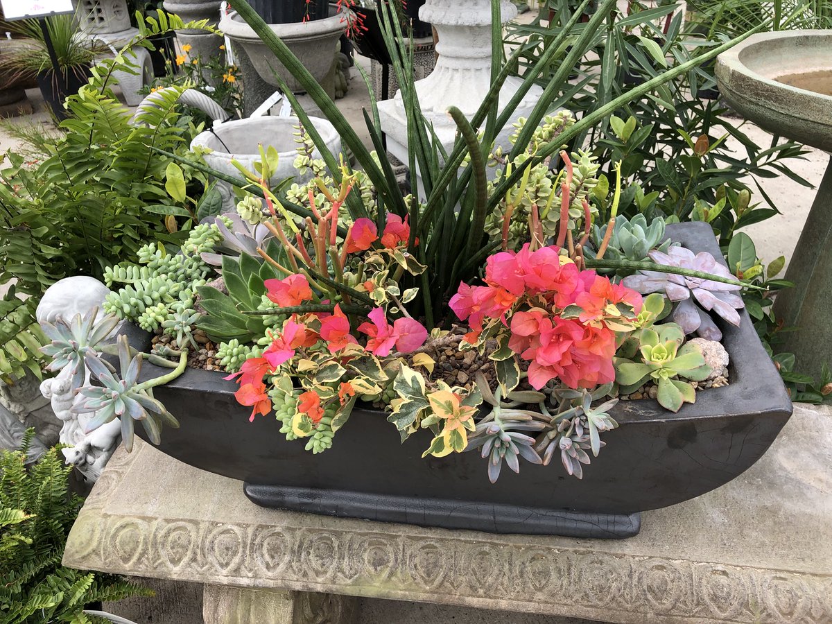 SuburbanLG's tweet photo. Now is the time to have our creative staff design you or your loved one a custom pot! Not one is similar and we can work with you on concepts! Visit any of our locations for this unique gift.

#uniquegifts #custompots #suburbanlg https://t.co/4dWE8TG9O3