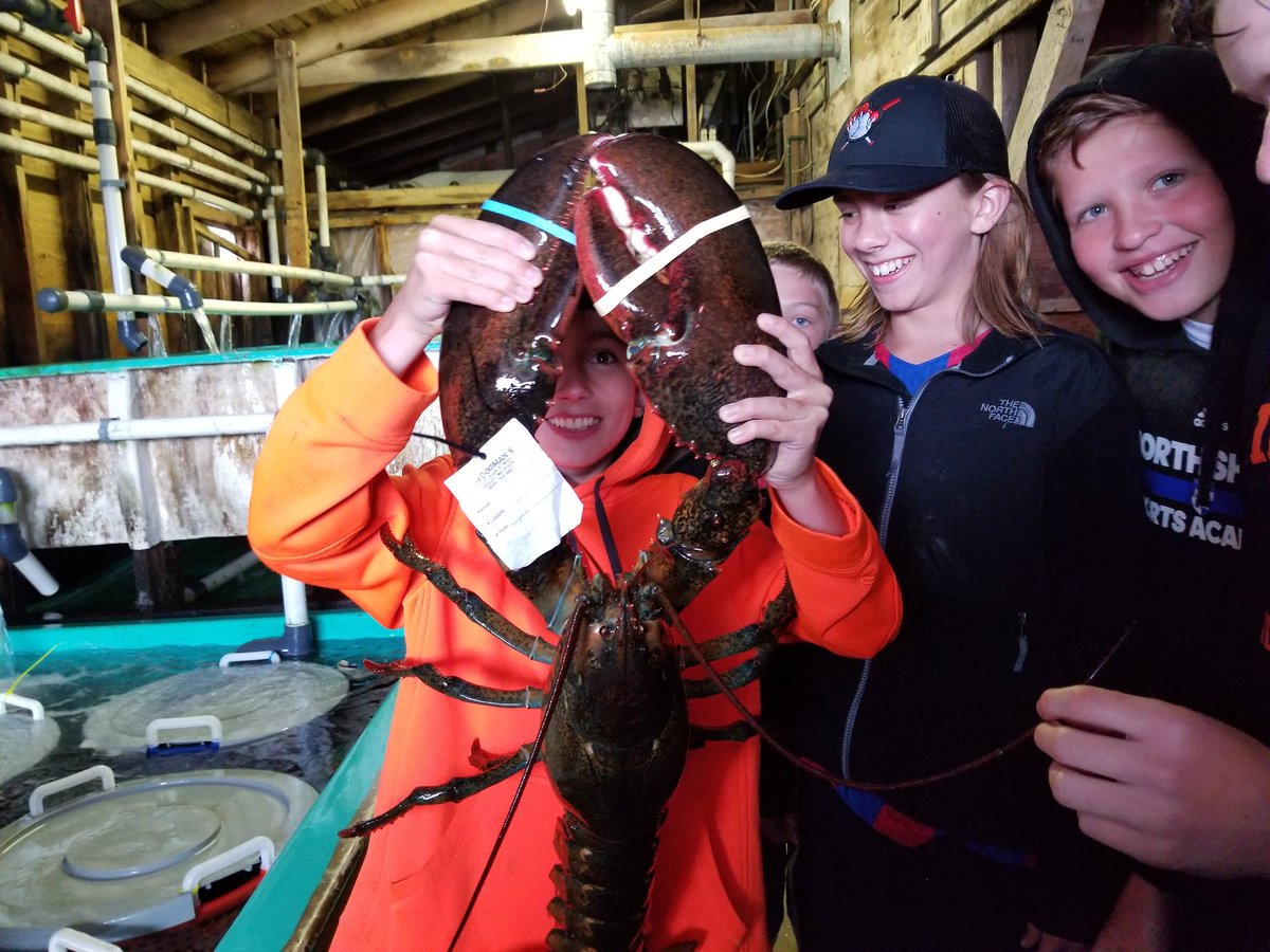 ss7_ims's tweet photo. Rock lobsta!  #crustation #yummy https://t.co/y3U9r5fgbi
